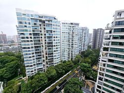 Amber Park (D15), Condominium #495895581